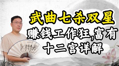 武曲破軍坐命|紫微斗数双星组合：武曲破军星在巳亥